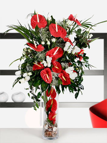 Kırmızı Anthurium & Beyaz Orkide Lüks Aranjman